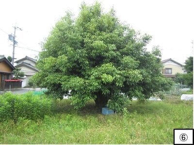 愛知県一宮市 江南駅 土地 755万円の官公庁公売物件 #6