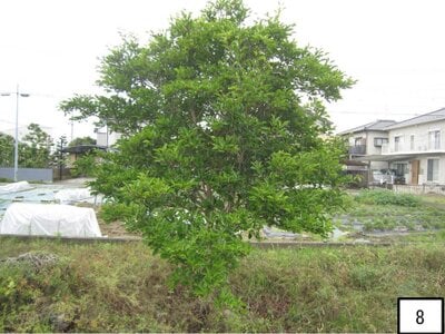 愛知県一宮市 江南駅 土地 755万円の官公庁公売物件 #8