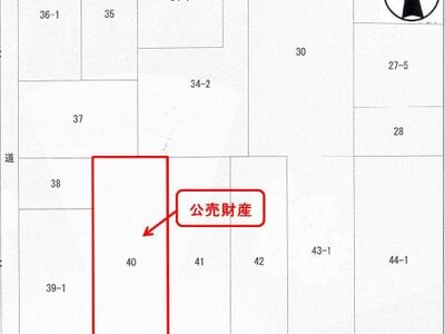 愛知県一宮市 江南駅 土地 755万円の官公庁公売物件 #9