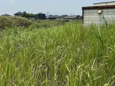 福岡県行橋市 美夜古泉駅3分 土地 444万円の官公庁公売物件 #4