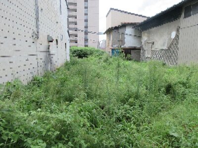 (値下げ) 岩手県盛岡市 上盛岡駅7分 土地 730万円の官公庁公売物件 #3