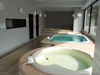 新潟県南魚沼郡湯沢町 マンション「シェスタ苗場」17万円の官公庁公売物件 #15