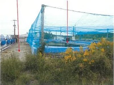 熊本県八代市郡築十二番町 千丁駅 戸建て 5,293万円の競売物件 #15