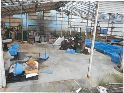 熊本県八代市郡築十二番町 千丁駅 戸建て 5,293万円の競売物件 #31