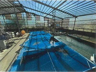 熊本県八代市郡築十二番町 千丁駅 戸建て 5,293万円の競売物件 #43