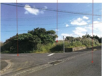 鹿児島県大島郡徳之島町 農地 21万円の競売物件 #1