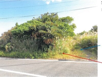 鹿児島県大島郡徳之島町 農地 21万円の競売物件 #14