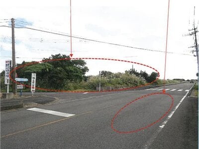 鹿児島県大島郡徳之島町 農地 21万円の競売物件 #2