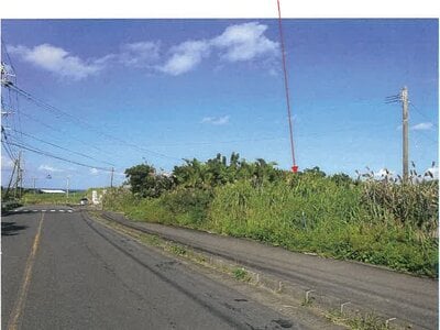 鹿児島県大島郡徳之島町 農地 21万円の競売物件 #4