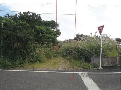 鹿児島県大島郡徳之島町 農地 21万円の競売物件 #5