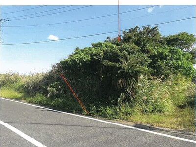 鹿児島県大島郡徳之島町 農地 21万円の競売物件 #6