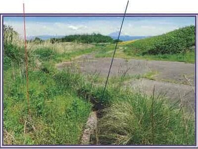山梨県甲斐市 塩崎駅13分 農地 17万円の競売物件 #12