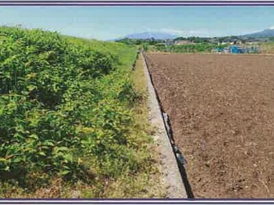 山梨県甲斐市 塩崎駅14分 農地 26万円の競売物件 #10