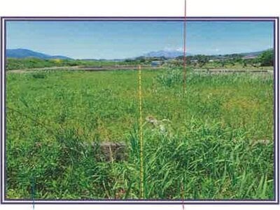 山梨県甲斐市 塩崎駅14分 農地 26万円の競売物件 #18