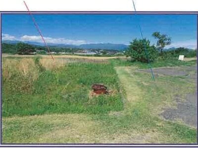 山梨県甲斐市 塩崎駅14分 農地 26万円の競売物件 #32