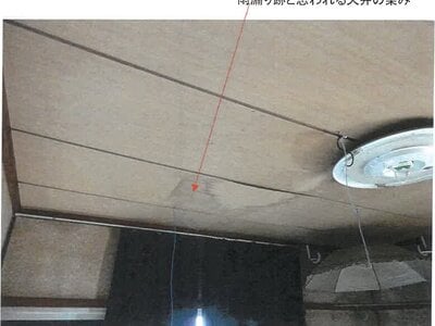 鹿児島県鹿児島市 神田(交通局前)駅20分 戸建て 131万円の競売物件 #15