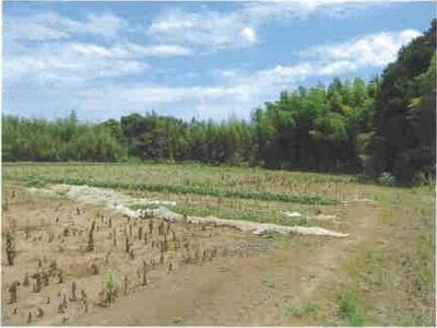 (値下げ) 千葉県香取市 空港第2ビル駅 農地 20万円の競売物件 #1