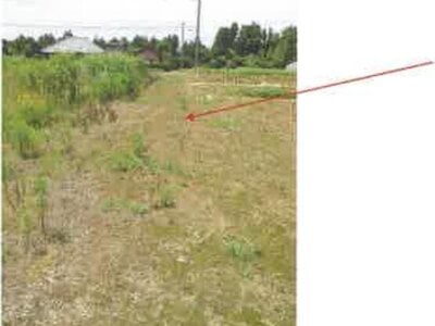 (値下げ) 千葉県香取市 空港第2ビル駅 農地 20万円の競売物件 #3