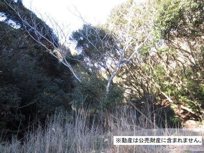 千葉県勝浦市 勝浦駅19分 土地 9万円の国税庁公売物件 #1