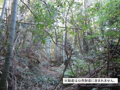 千葉県南房総市 千歳駅21分 土地 10万円の国税庁公売物件 #1