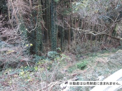 千葉県勝浦市 勝浦駅19分 土地 16万円の国税庁公売物件 #2