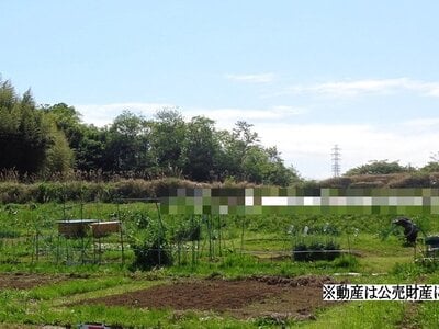 (値下げ) 神奈川県平塚市 大磯駅 農地 18万円の国税庁公売物件 #1