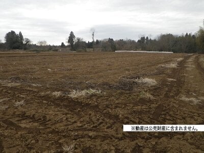 (値下げ) 千葉県八街市 福俵駅 農地 19万円の国税庁公売物件 #1