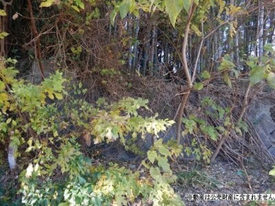 神奈川県横須賀市 北久里浜駅20分 土地 31万円の国税庁公売物件 #1