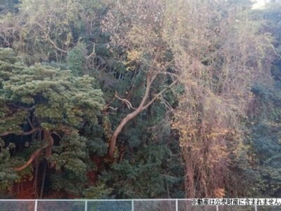神奈川県横須賀市 北久里浜駅20分 土地 31万円の国税庁公売物件 #2