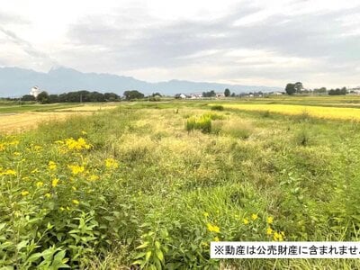 (値下げ) 山梨県北杜市 長坂駅 農地 33万円の国税庁公売物件 #1