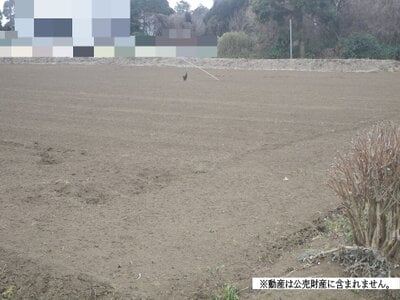(値下げ) 千葉県八街市 福俵駅 農地 38万円の国税庁公売物件 #2