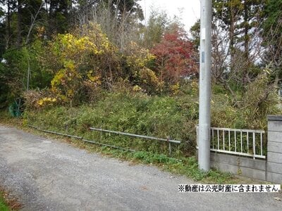 (値下げ) 千葉県茂原市 永田駅20分 土地 43万円の国税庁公売物件 #1