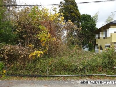 (値下げ) 千葉県茂原市 永田駅20分 土地 43万円の国税庁公売物件 #2