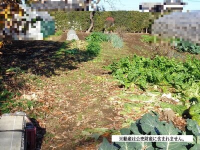 (値下げ) 千葉県我孫子市 新木駅1分 農地 100万円の国税庁公売物件 #2