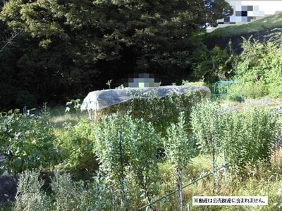 (値下げ) 神奈川県秦野市 東海大学前駅27分 農地 110万円の国税庁公売物件 #1