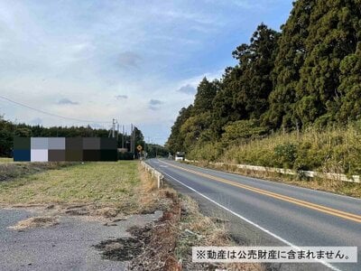 (値下げ) 千葉県香取市 小見川駅 農地 170万円の国税庁公売物件 #1