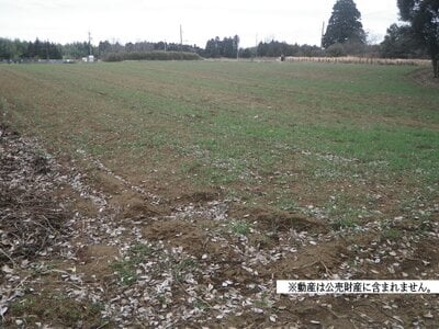 (値下げ) 千葉県八街市 福俵駅 農地 170万円の国税庁公売物件 #1
