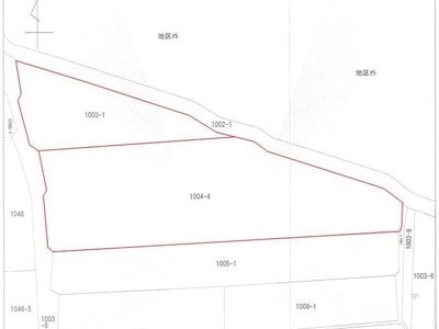 (値下げ) 長野県小諸市 平原駅 農地 310万円の国税庁公売物件 #2