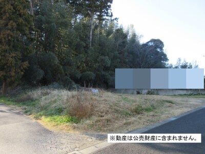 千葉県佐倉市 京成臼井駅13分 農地 640万円の国税庁公売物件 #1