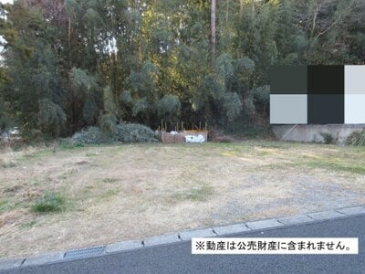 千葉県佐倉市 京成臼井駅13分 農地 640万円の国税庁公売物件 #2