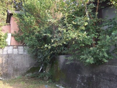 徳島県吉野川市 阿波川島駅5分 土地 164万円の官公庁公売物件 #6