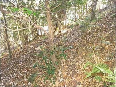 静岡県伊東市 宇佐美駅26分 戸建て 63万円の競売物件 #10