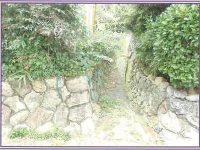 (値下げ) 静岡県浜松市浜名区 尾奈駅27分 農地 49万円の競売物件 #12