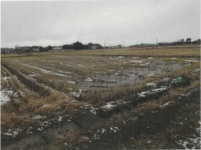新潟県新潟市 早通駅 農地 24万円の競売物件 #1
