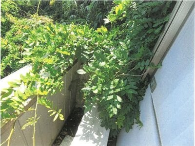 愛知県名古屋市守山区 小幡緑地駅4分 戸建て 914万円の競売物件 #7