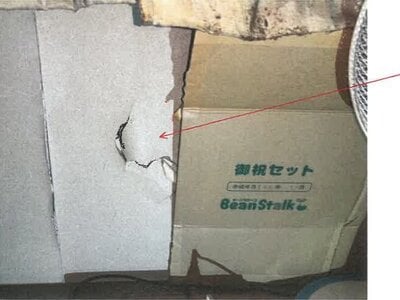 兵庫県加古川市 加古川駅14分 マンション「リベール加古川」870万円の競売物件 #9