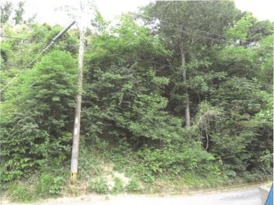 (値下げ) 佐賀県唐津市 西唐津駅16分 土地 239万円の競売物件 #7
