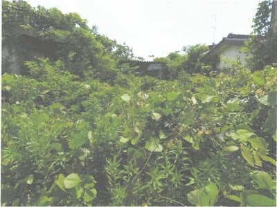 (値下げ) 茨城県ひたちなか市 中根駅6分 土地 52万円の競売物件 #5