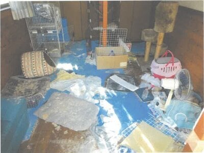 茨城県北茨城市 南中郷駅 戸建て 176万円の競売物件 #4