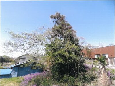 群馬県高崎市 群馬八幡駅 土地 257万円の競売物件 #2